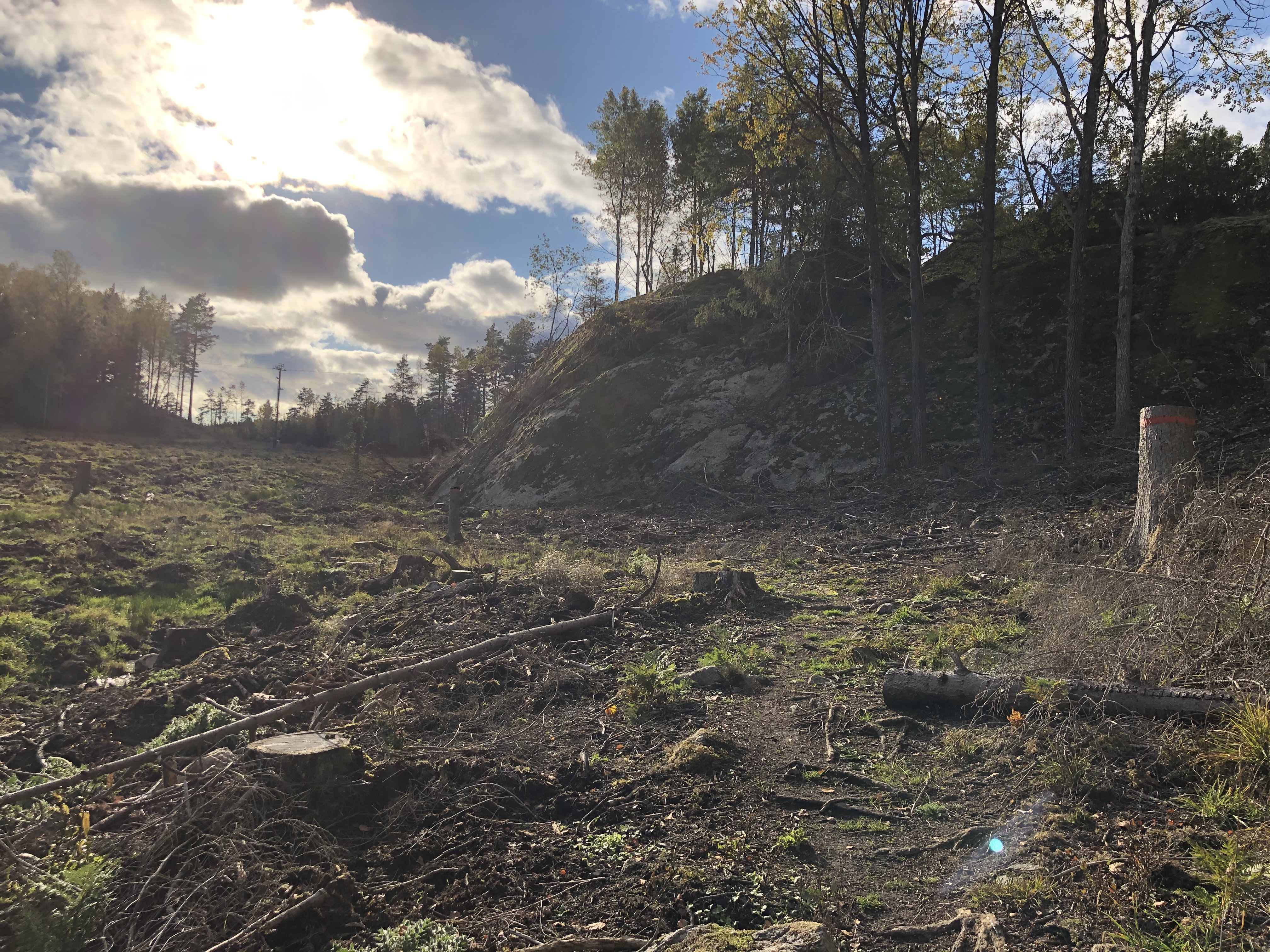 Kalhygge längs Sörmlandsleden